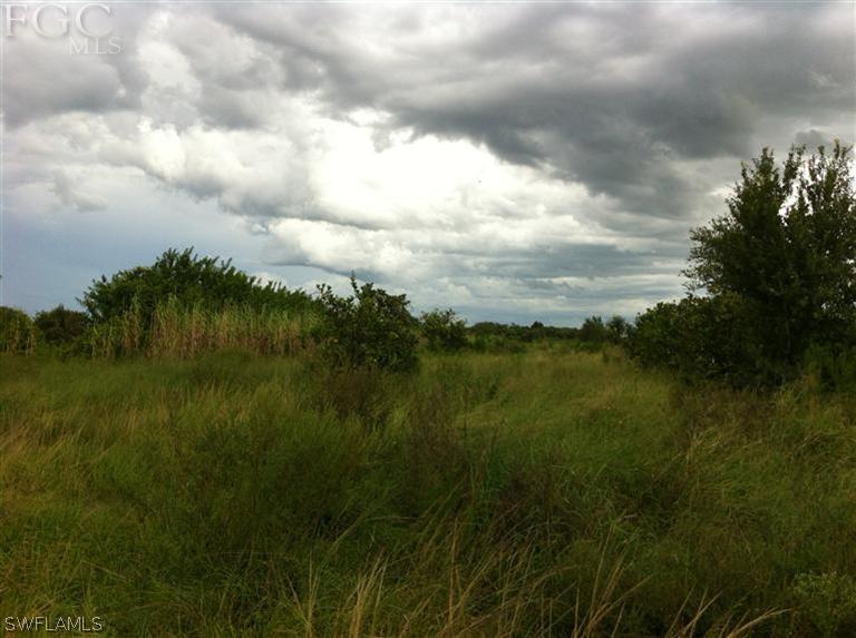1234 3rd Road LaBelle, FL 33935 - Photo 6 of 7 a view of lake with green space
