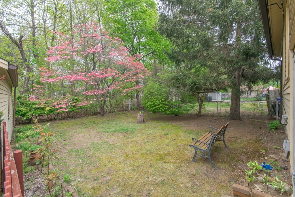 151 Daviston Street Springfield, MA 01108 - Photo 3 of 30
