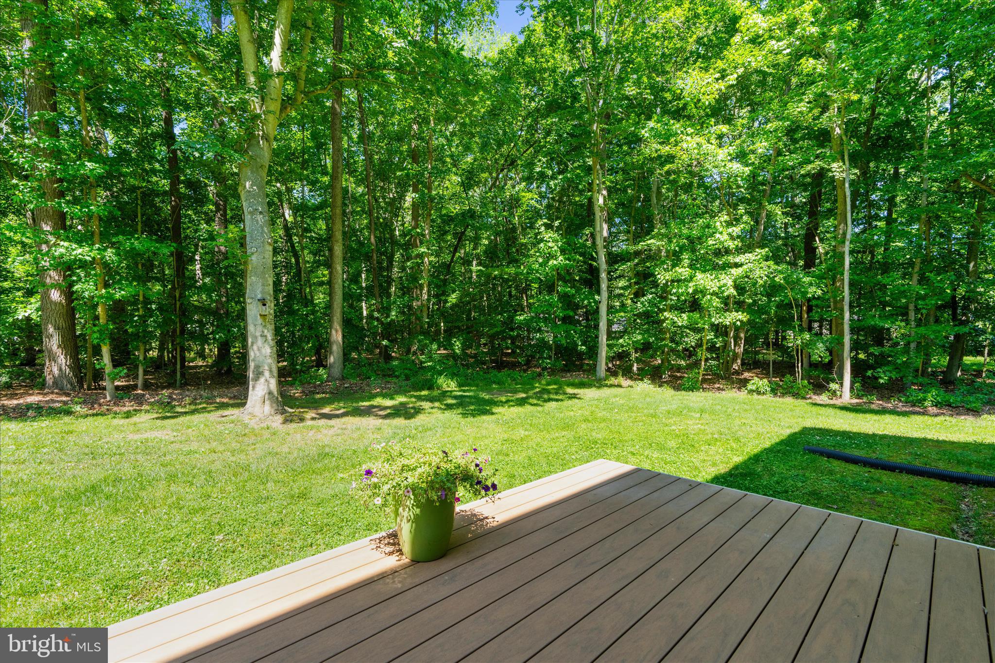 108 Gloucester Road Queenstown, MD 21658 - Photo 49 of 60