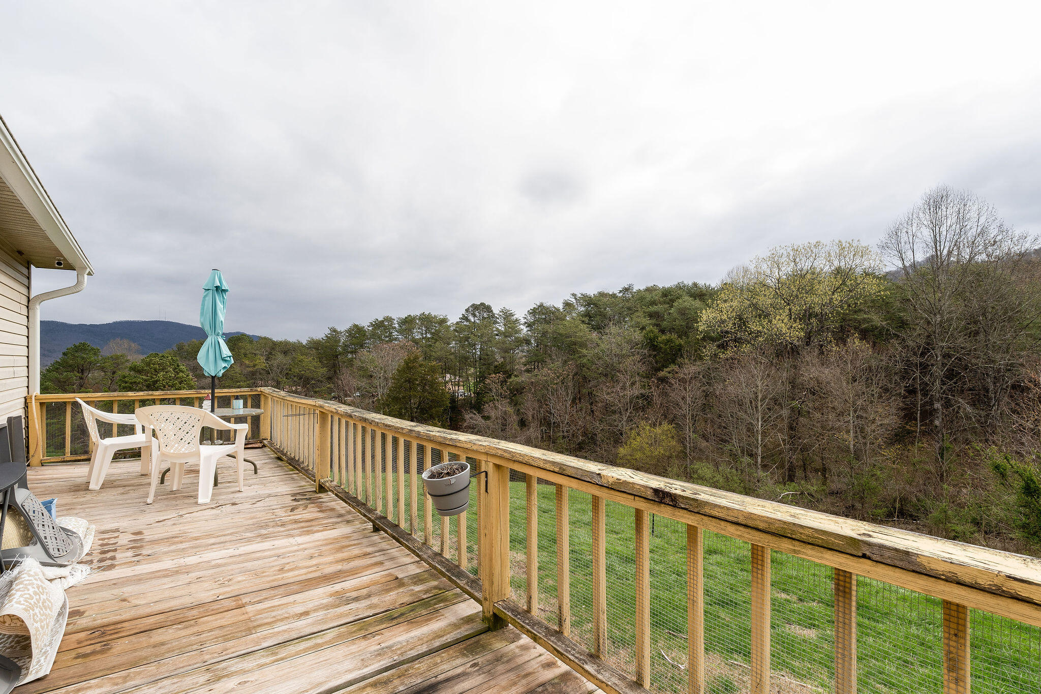 106 Johnson Road Mooresburg, TN 37811 - Photo 13 of 20 DSC01873-Edit