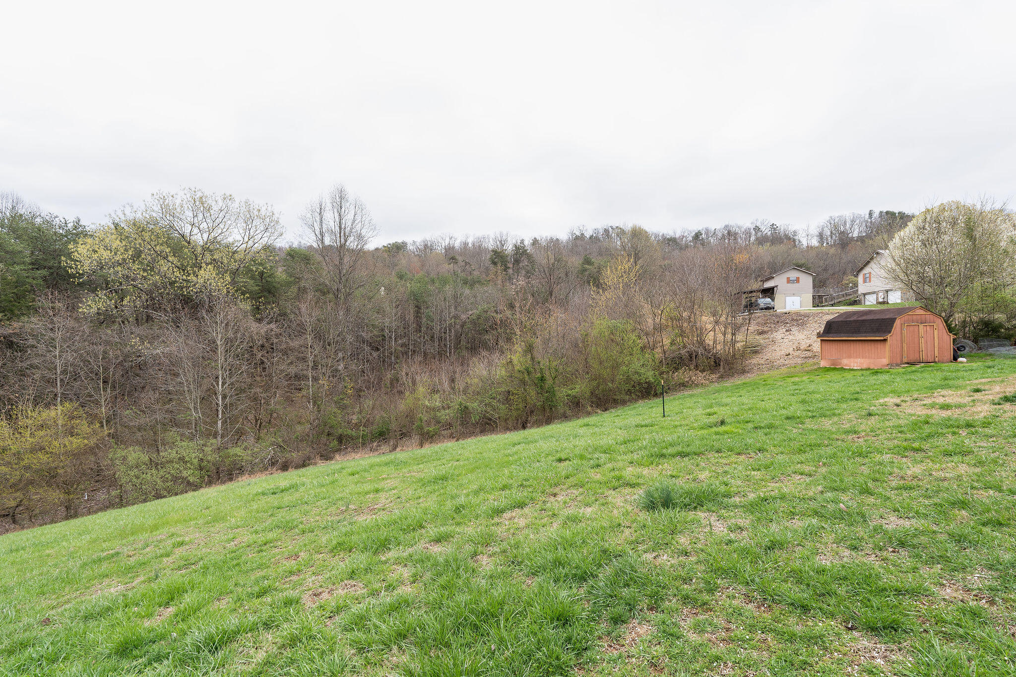 106 Johnson Road Mooresburg, TN 37811 - Photo 14 of 20 DSC01941-Edit