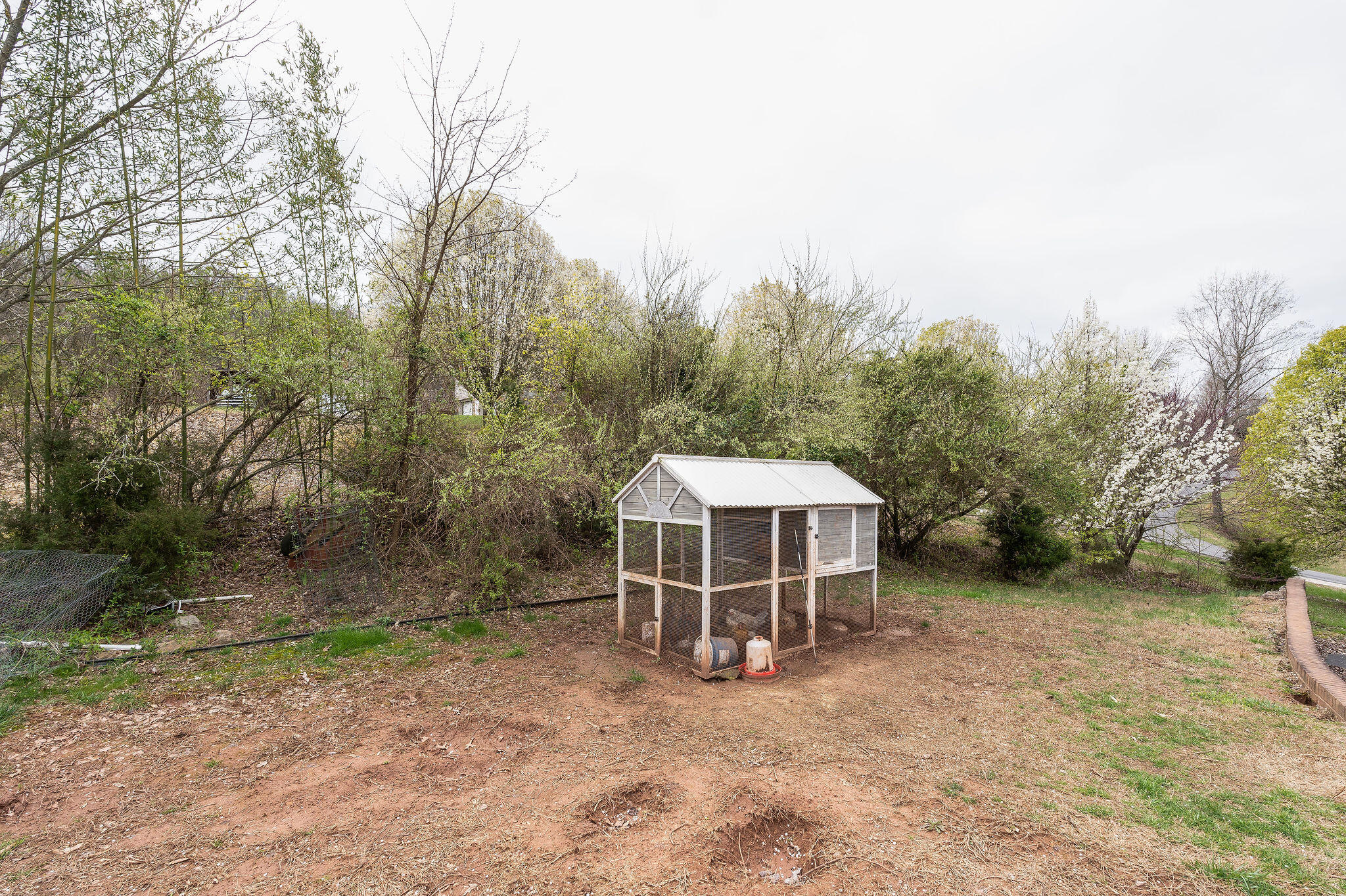 106 Johnson Road Mooresburg, TN 37811 - Photo 17 of 20 DSC01974-Edit