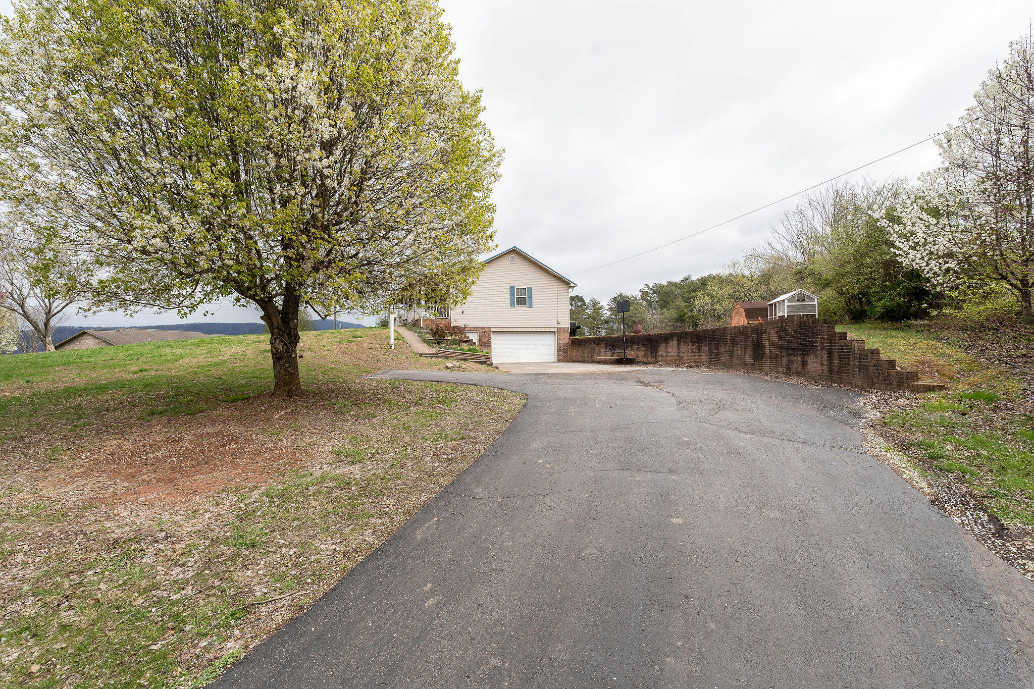 106 Johnson Road Mooresburg, TN 37811 - Photo 18 of 20 DSC01899-Edit