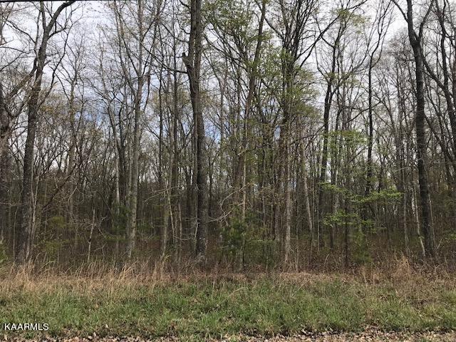 Lot 182 Ridge Road Crossville, TN 38572 - Photo 3 of 5 Crumley 1