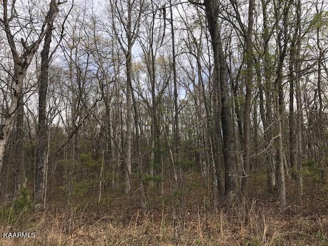 Lot 182 Ridge Road Crossville, TN 38572 - Photo 5 of 5 Crumley 3