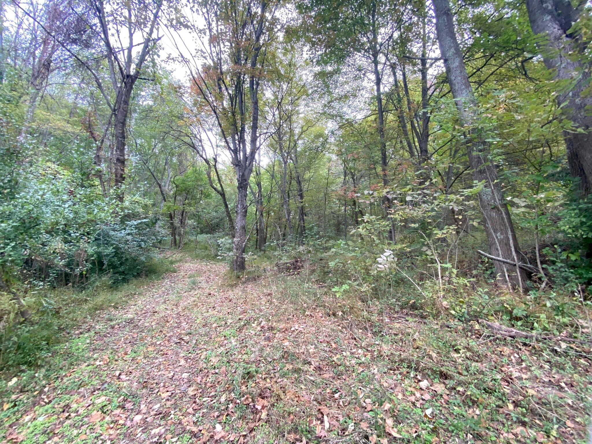 999 Dripping Springs Road Crab Orchard, KY 40419 - Photo 2 of 5 Dripping Springs (4)