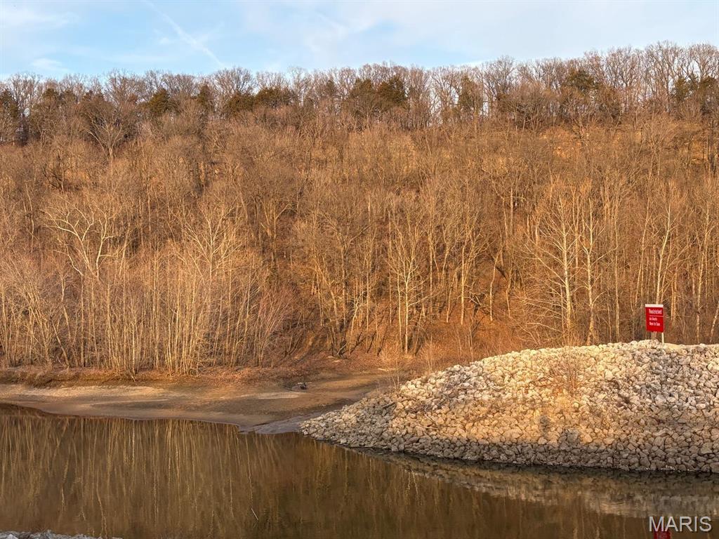 2 Bluffview Drive Center, MO 63436 - Photo 2 of 8