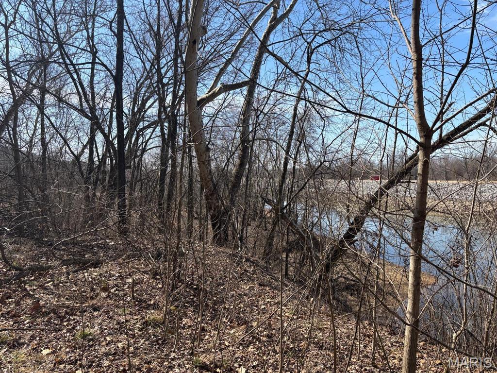 2 Bluffview Drive Center, MO 63436 - Photo 4 of 8