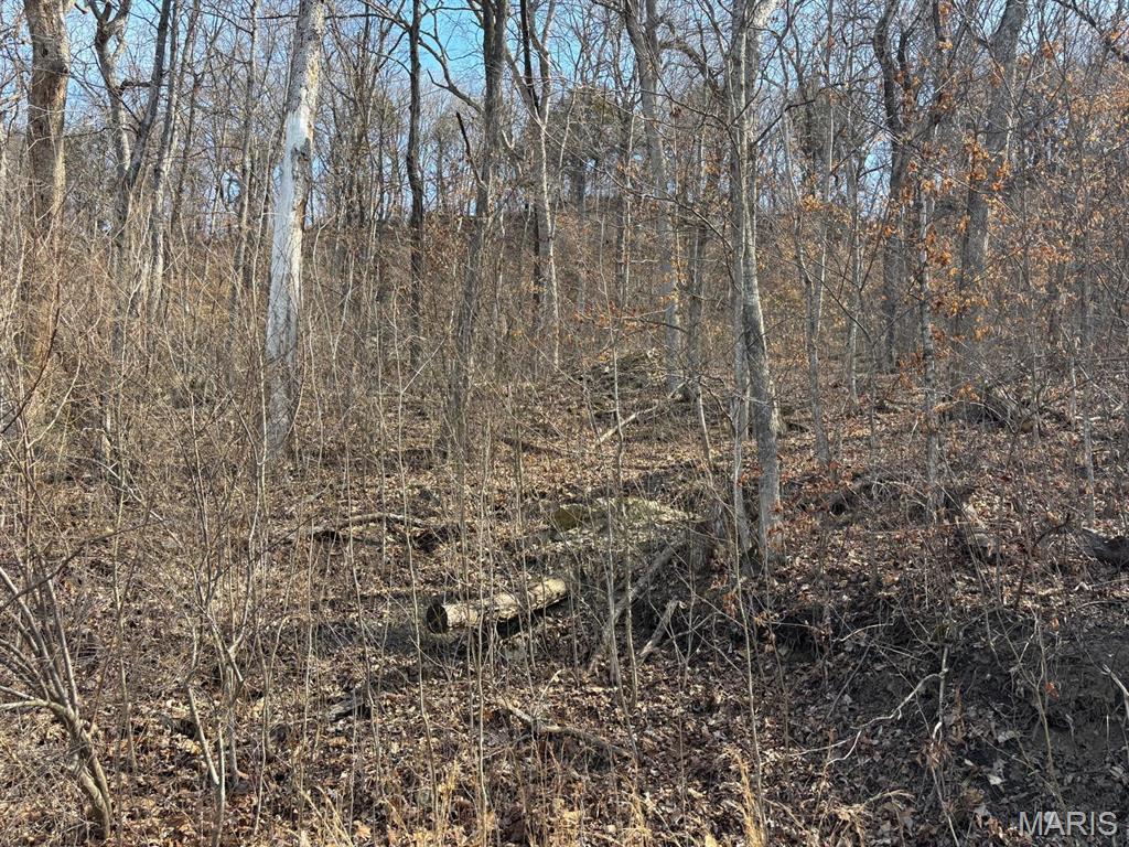 2 Bluffview Drive Center, MO 63436 - Photo 5 of 8