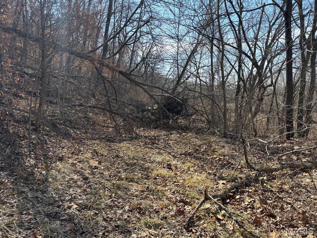 2 Bluffview Drive Center, MO 63436 - Photo 6 of 8