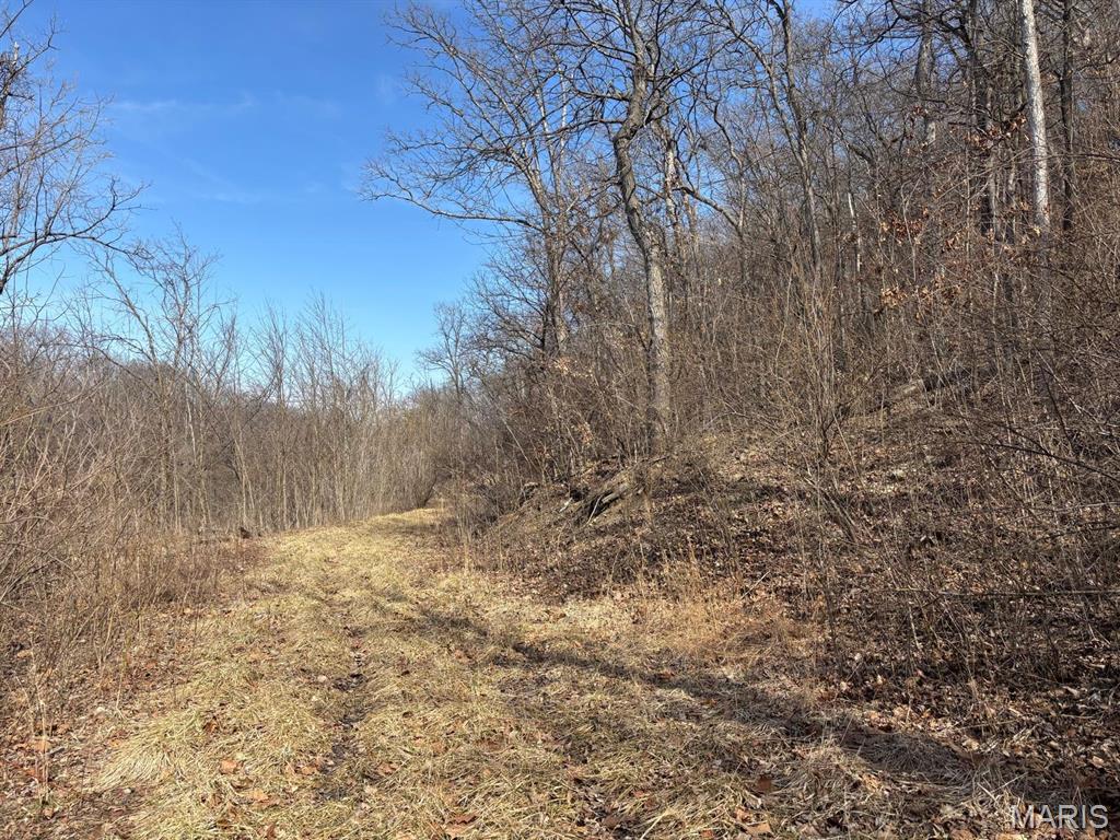 2 Bluffview Drive Center, MO 63436 - Photo 7 of 8