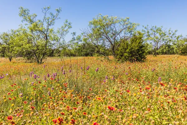 $391,500 | 3300 County Road 3300, Kempner, TX 76539