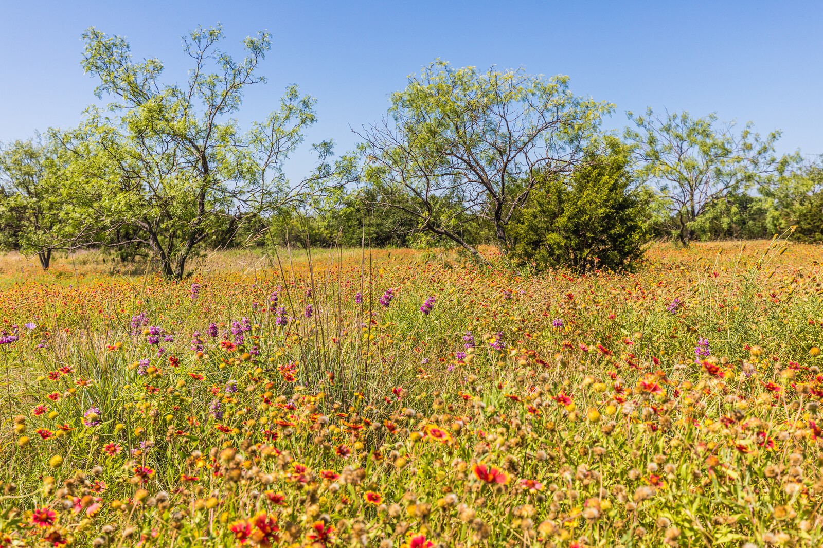 3300 County Road 3300 Kempner, TX 76539 - Photo 1 of 24