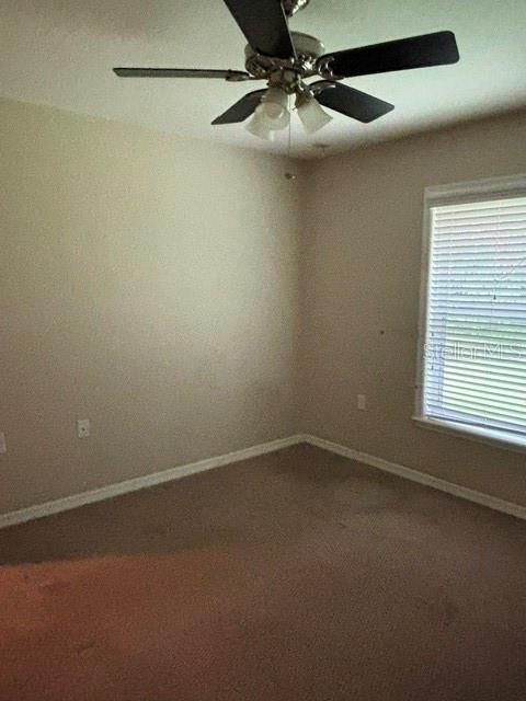 9209 McIntyre Road Brooksville, FL 34601 - Photo 39 of 50