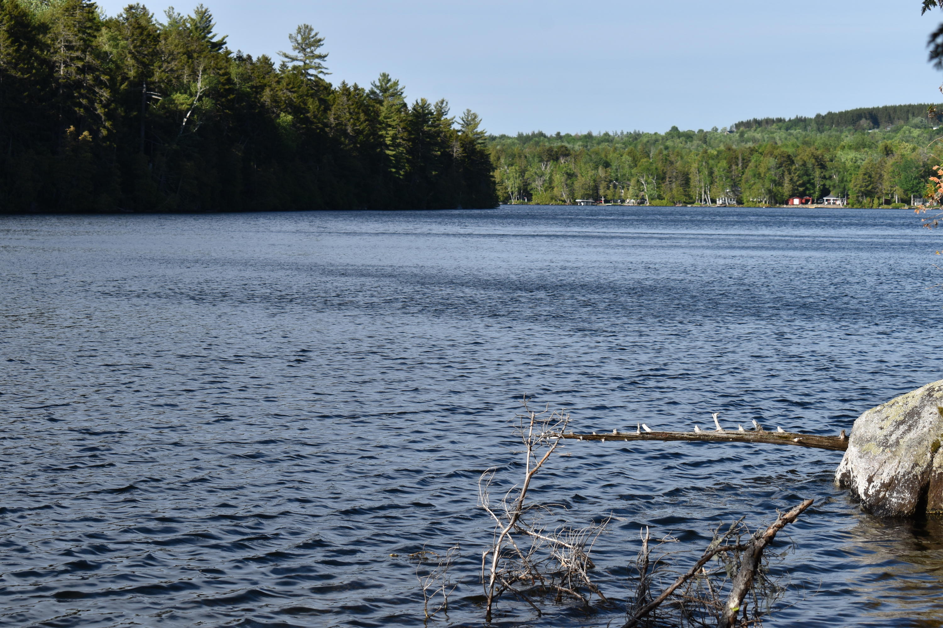 184 Dark Cove Road Weston, ME 04424 - Photo 1 of 24 DSC_0174