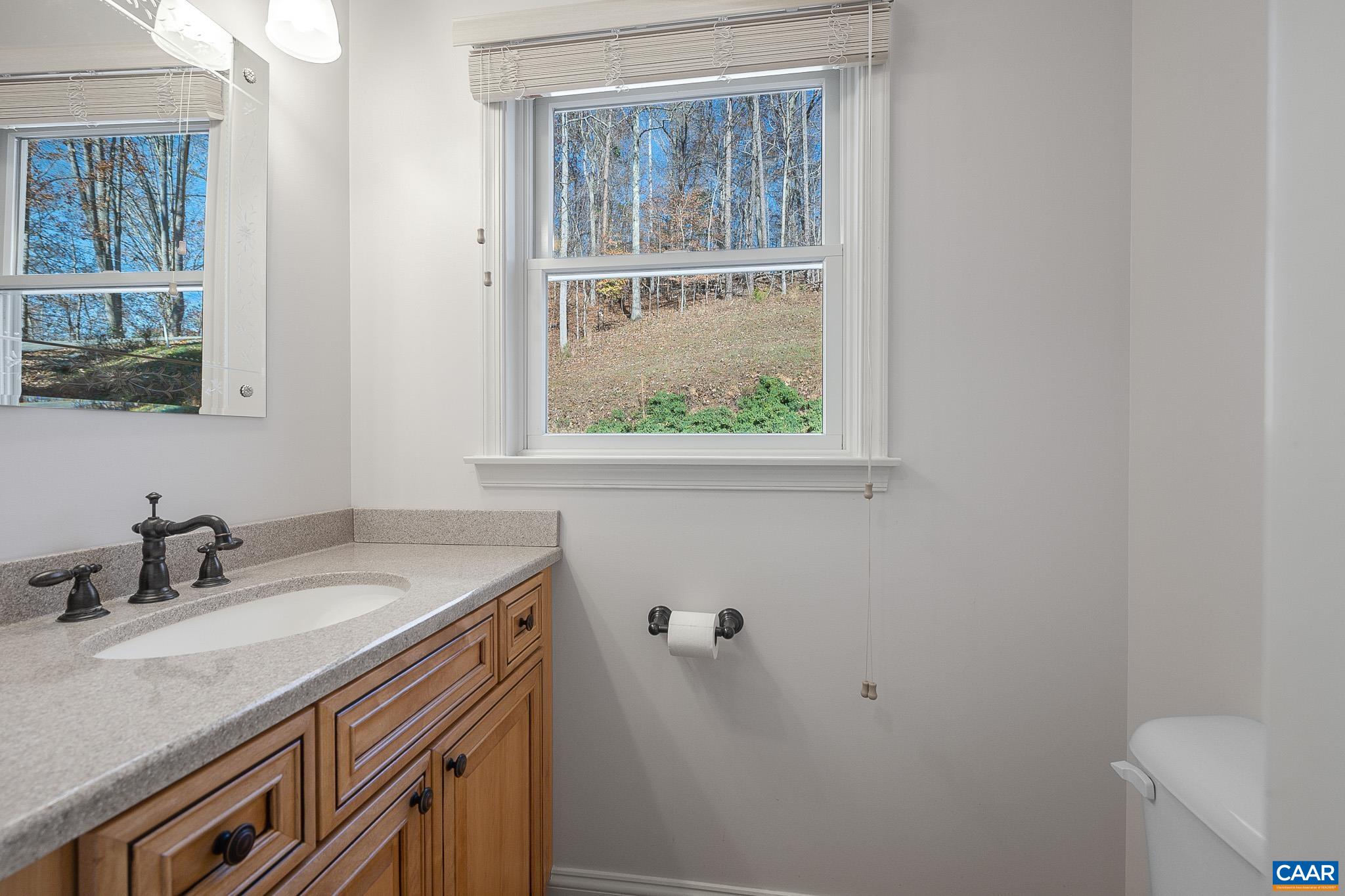 909 Gap Bridge Road Moneta, VA 24121 - Photo 47 of 75 a bathroom with a sink a toilet and a window