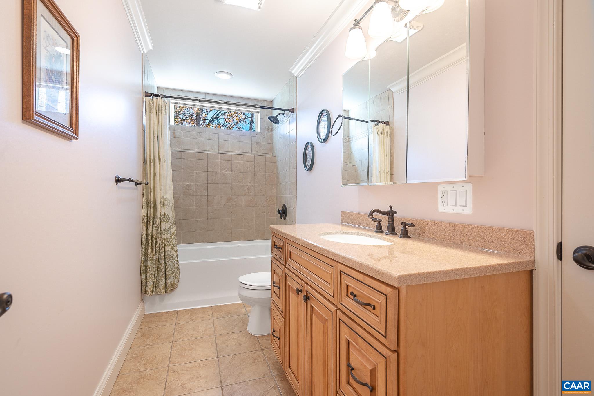 909 Gap Bridge Road Moneta, VA 24121 - Photo 57 of 75 a bathroom with a granite countertop sink toilet and shower