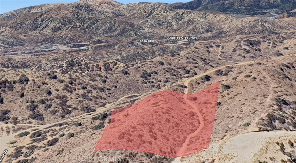 30362412 Pinon Hills Road Pinon Hills, CA 92372 - Photo 6 of 8 a view of a dry yard