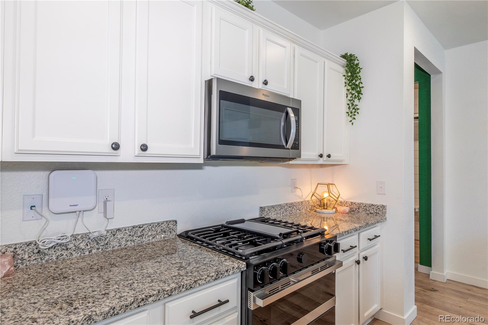 2099 Shadow Rider Circle Castle Rock, CO 80104 - Photo 6 of 35