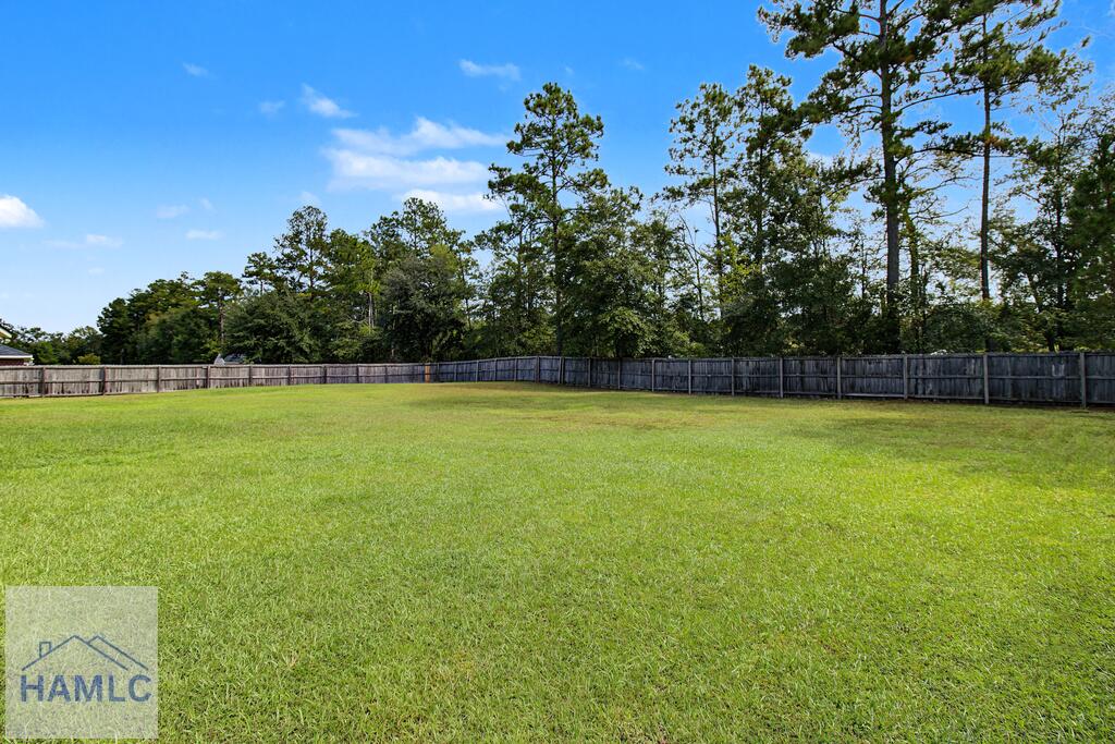 137 Pine View Road Southeast Ludowici, GA 31316 - Photo 33 of 36 Gallery Image 33