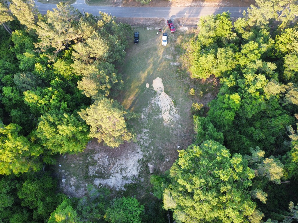 612 Edwin Reynolds Road Cottonwood, AL 36320 - Photo 9 of 15