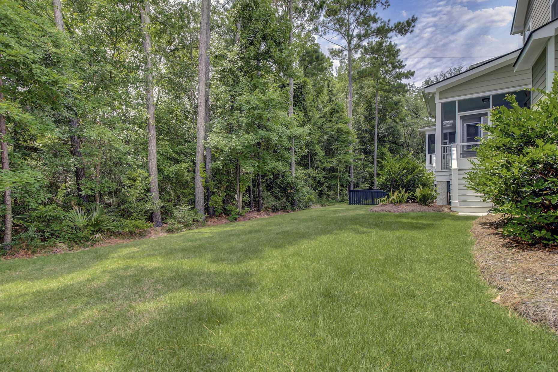 1505 Red Tide Road Mount Pleasant, SC 29466 - Photo 33 of 49 Backyard
