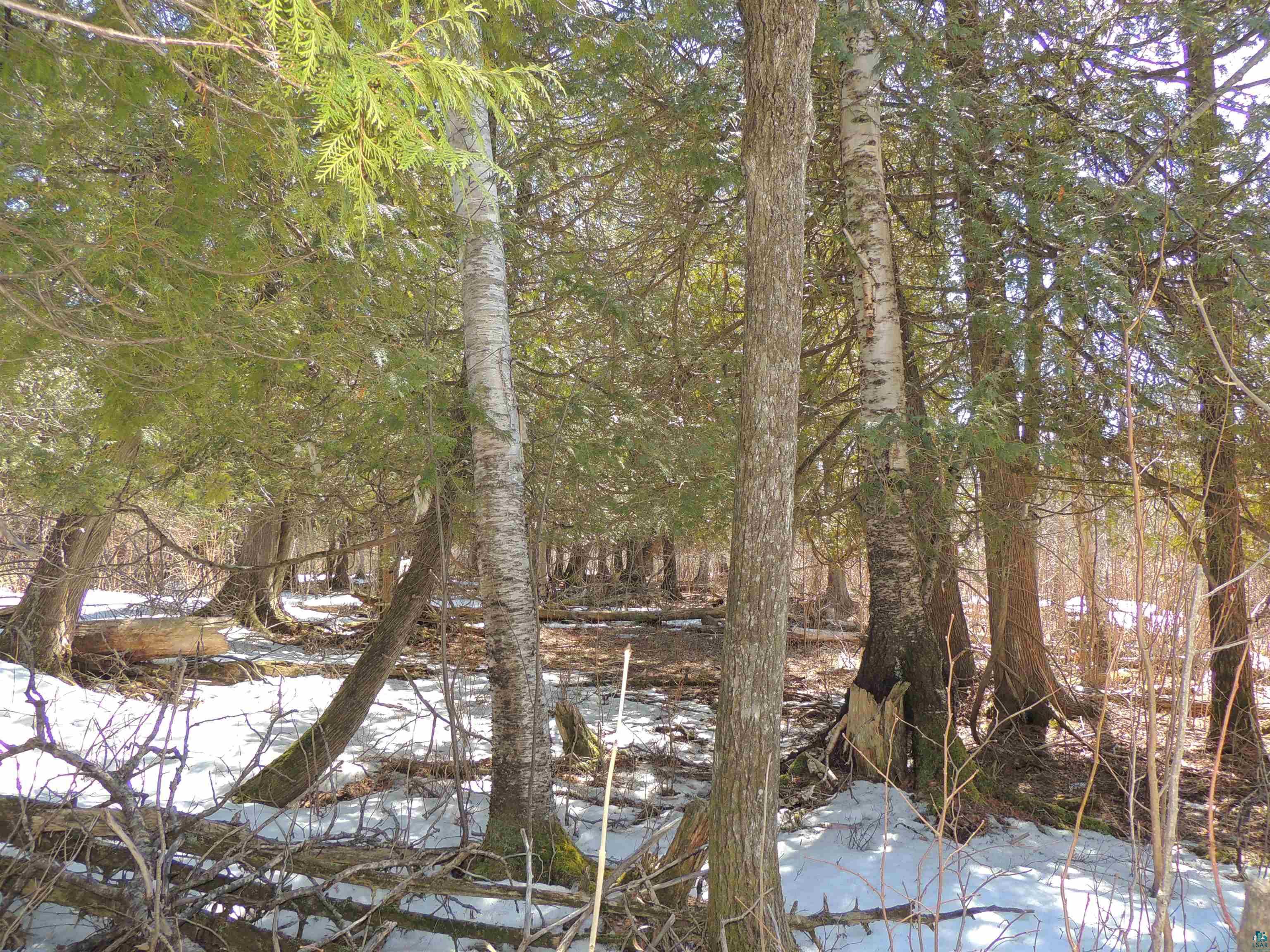 X30 Isak Ridge Lutsen, MN 55612 - Photo 23 of 28