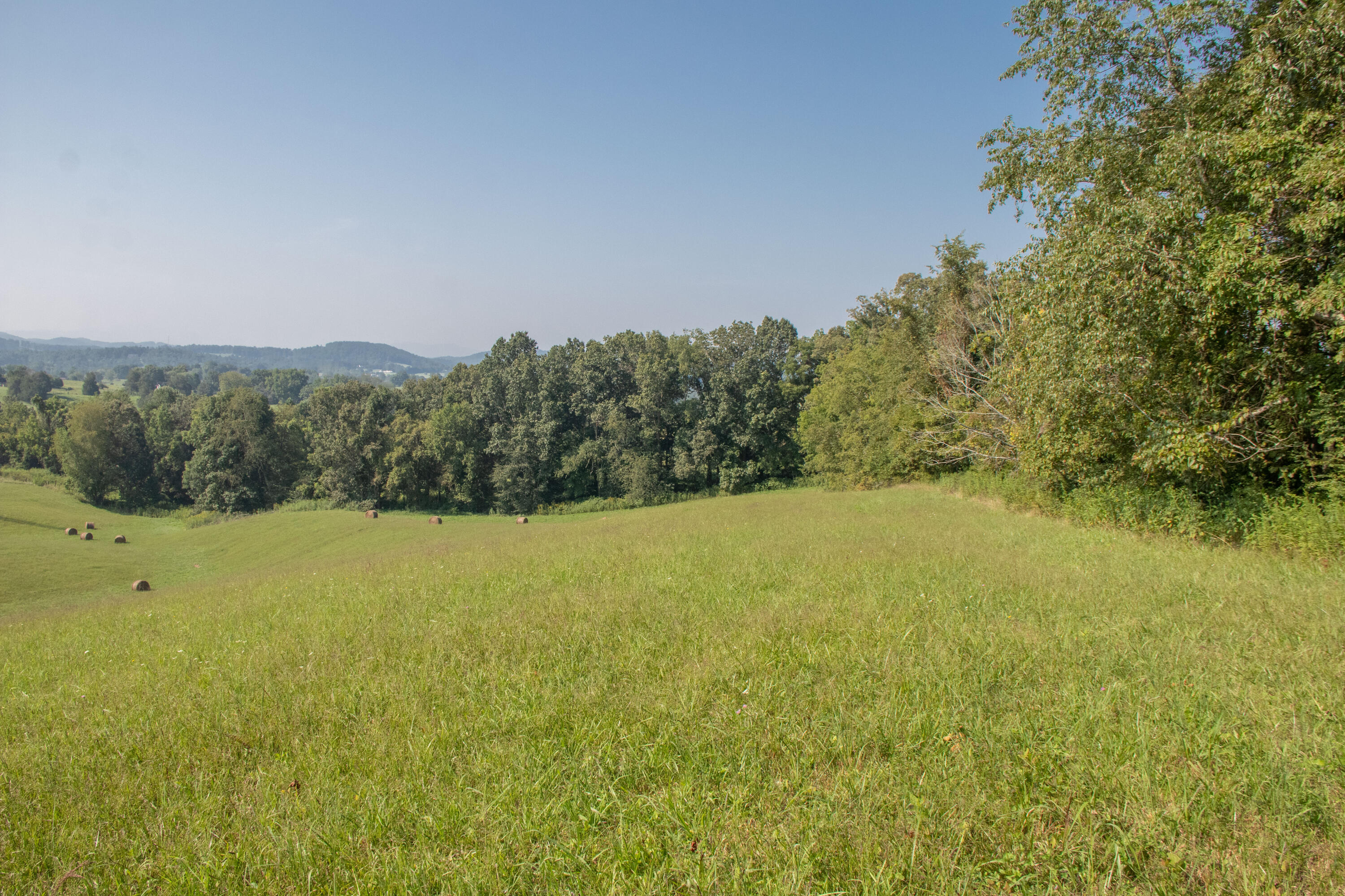 855 Silver Grove Road Bluff City, TN 37618 - Photo 11 of 22 Bluff City-8