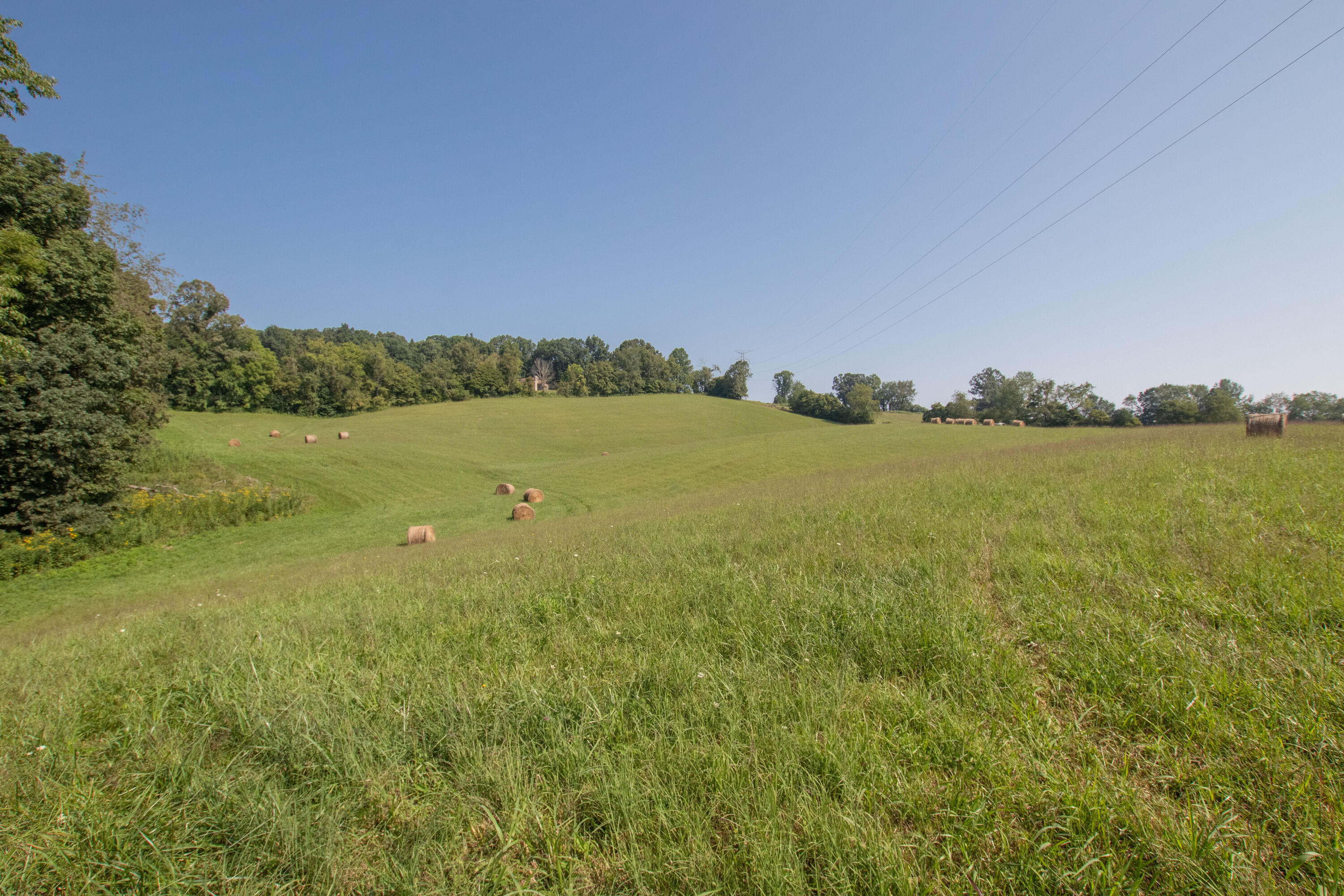 855 Silver Grove Road Bluff City, TN 37618 - Photo 15 of 22 Bluff City-15