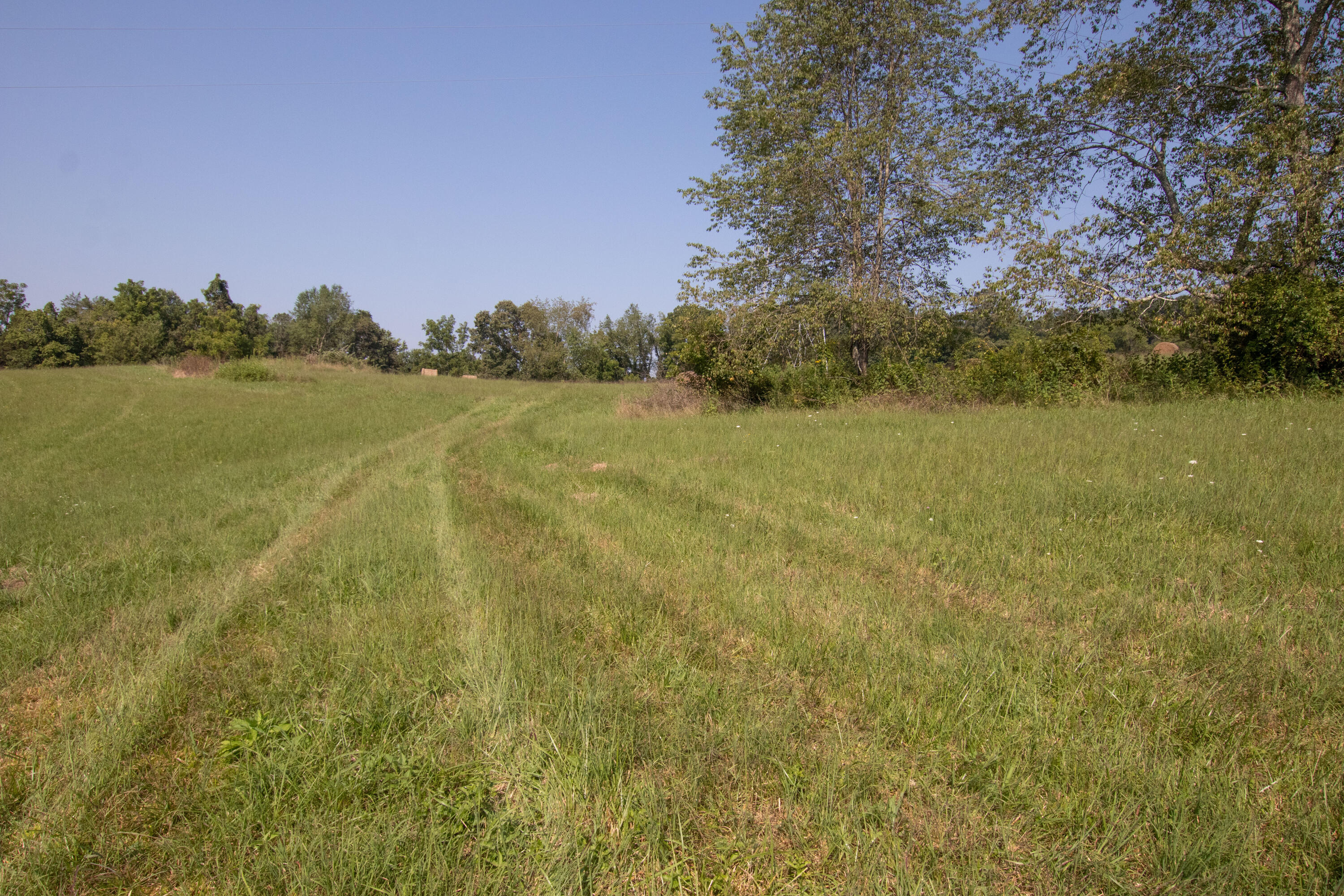855 Silver Grove Road Bluff City, TN 37618 - Photo 17 of 22 Bluff City-17