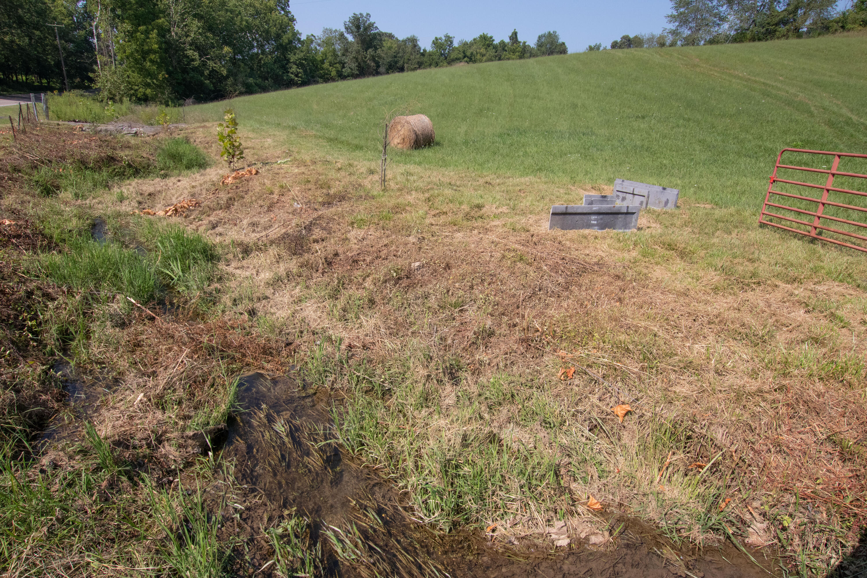 855 Silver Grove Road Bluff City, TN 37618 - Photo 20 of 22 Bluff City-20