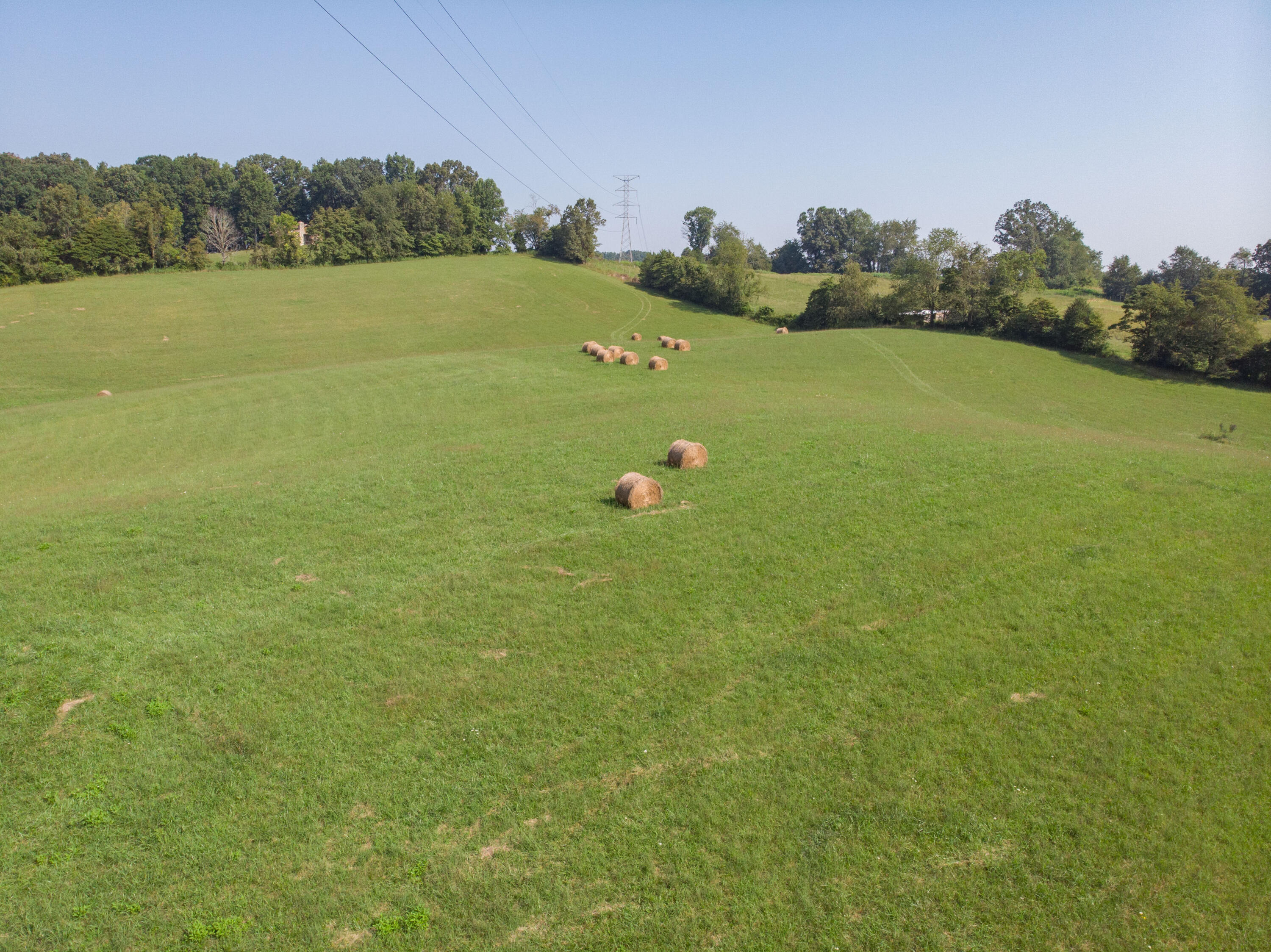 855 Silver Grove Road Bluff City, TN 37618 - Photo 2 of 22 Bluff City-14