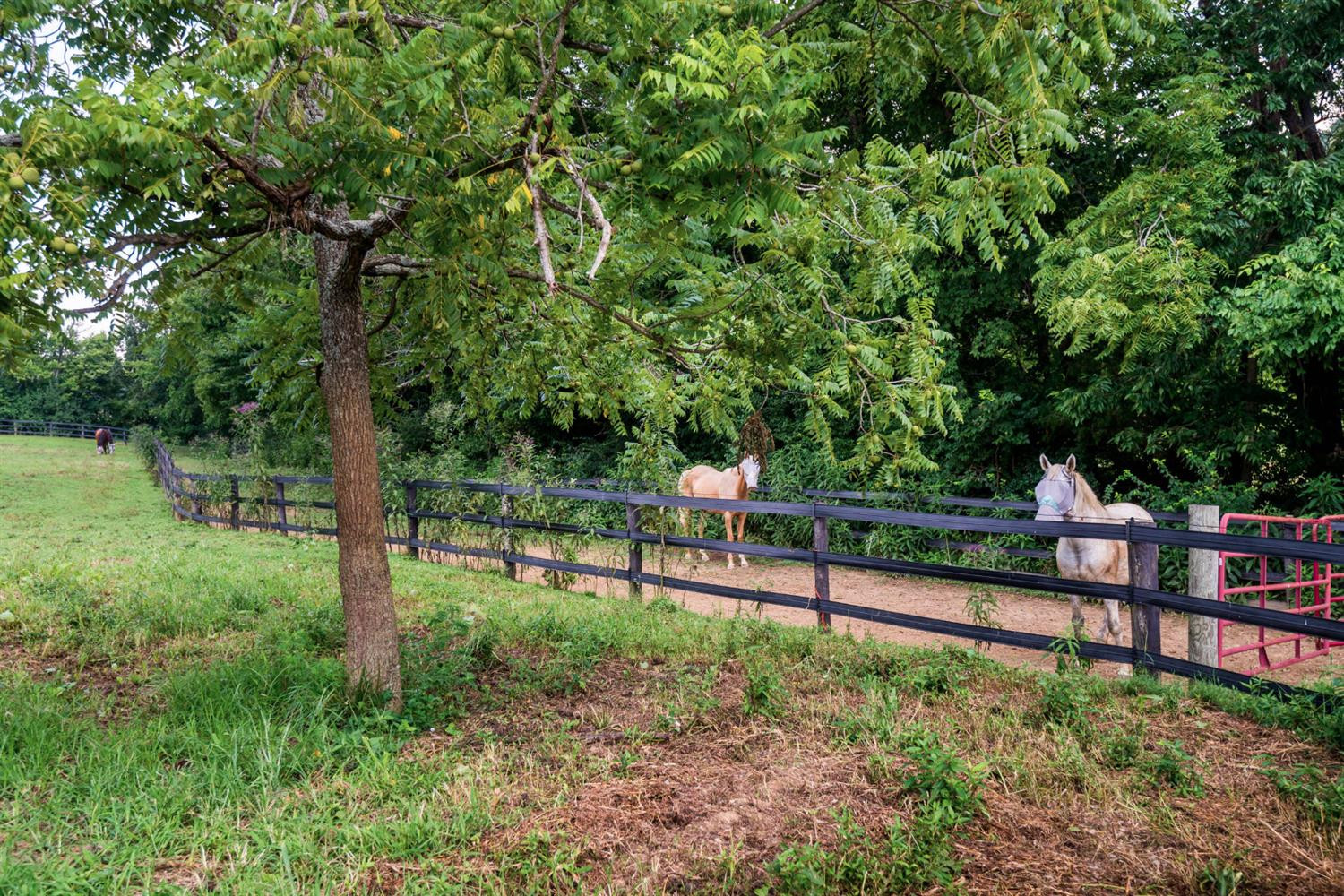 4000 Briar Hill Road Lexington, KY 40516 - Photo 31 of 33 Photo 31