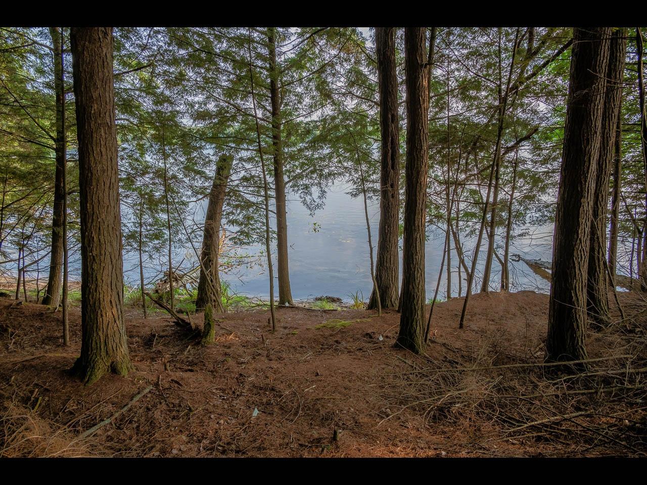 On Wendt Road Lake Tomahawk, WI 54539 - Photo 1 of 27 Gallery Image 1