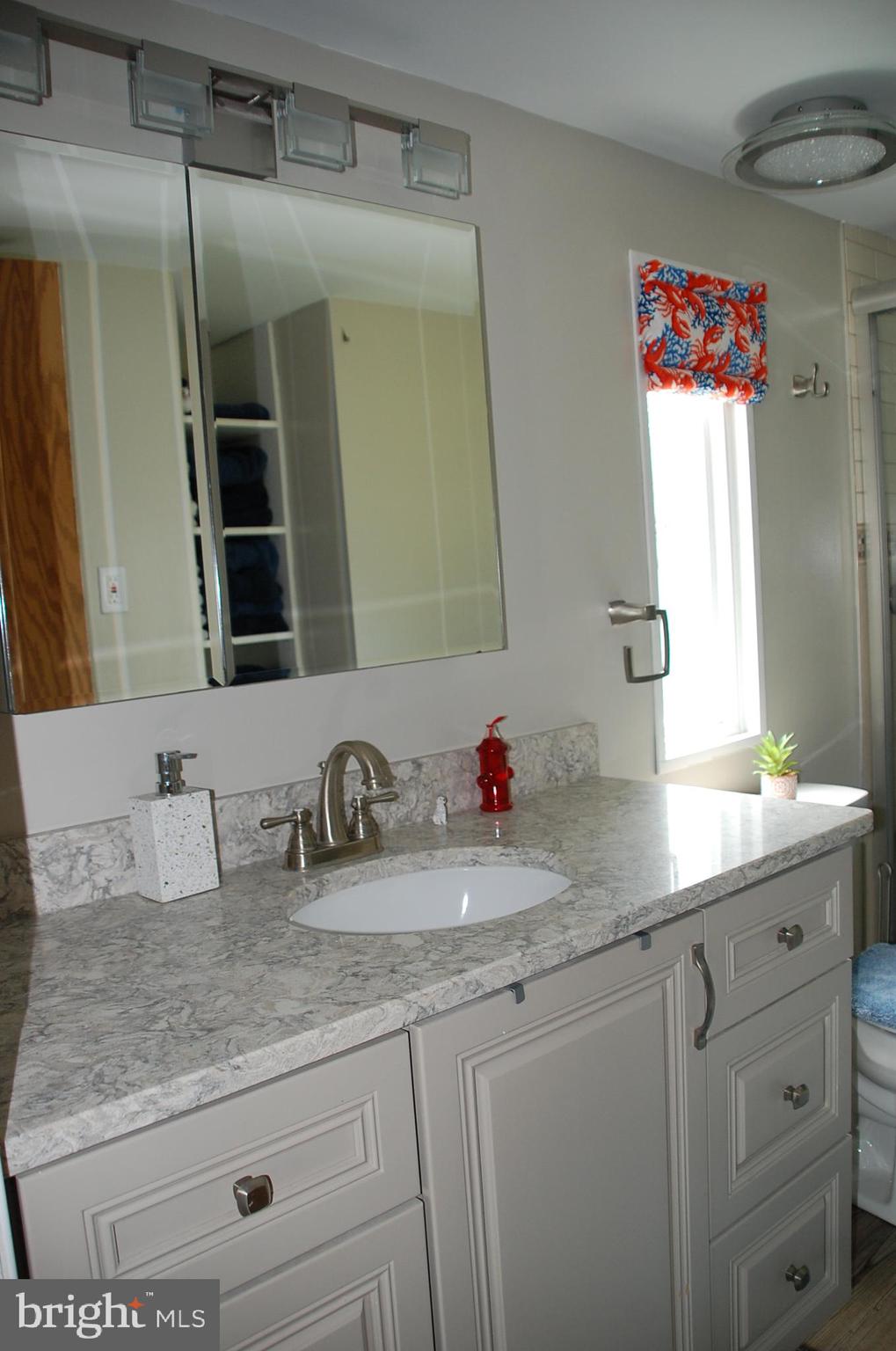 10505 Cedarville Road Brandywine, MD 20613 - Photo 24 of 36 New Sink