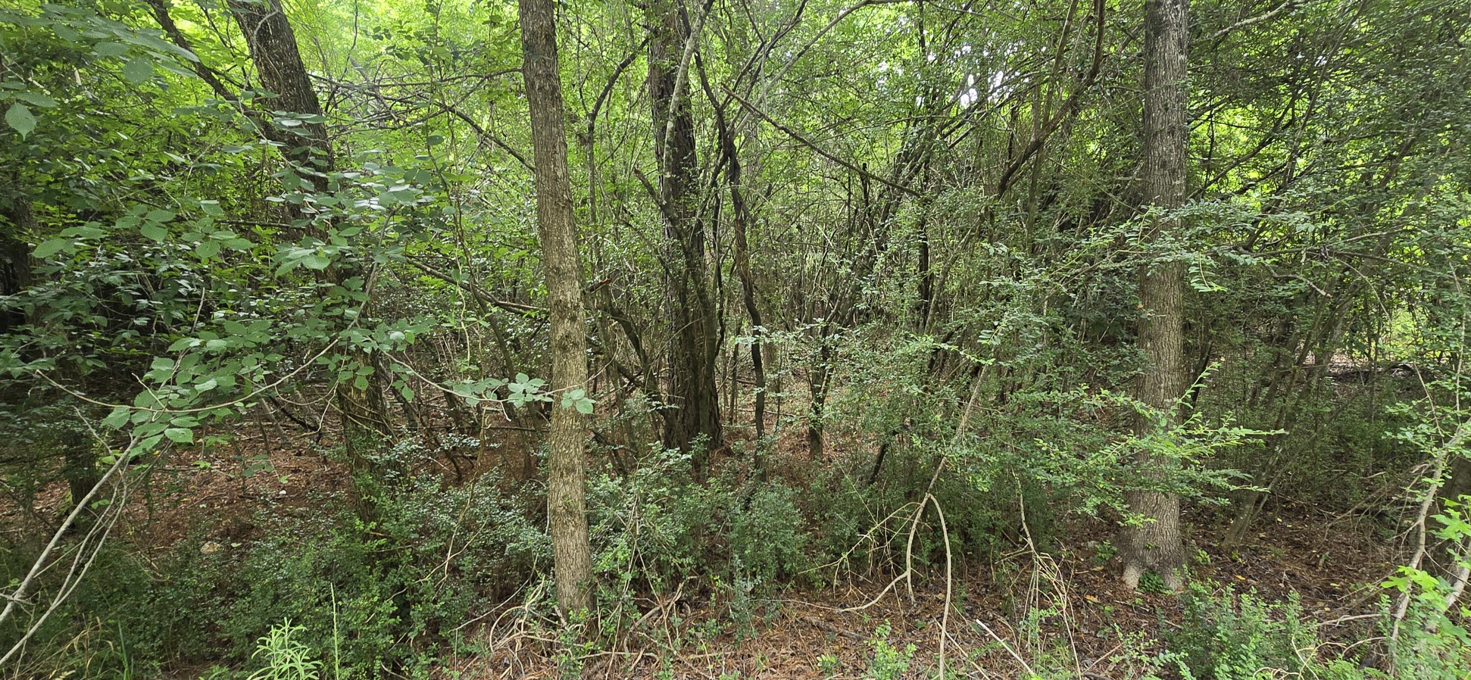 0 Valley Road Southwest, Unit 41 Cave Spring, GA 30124 - Photo 6 of 35 20260618_122905