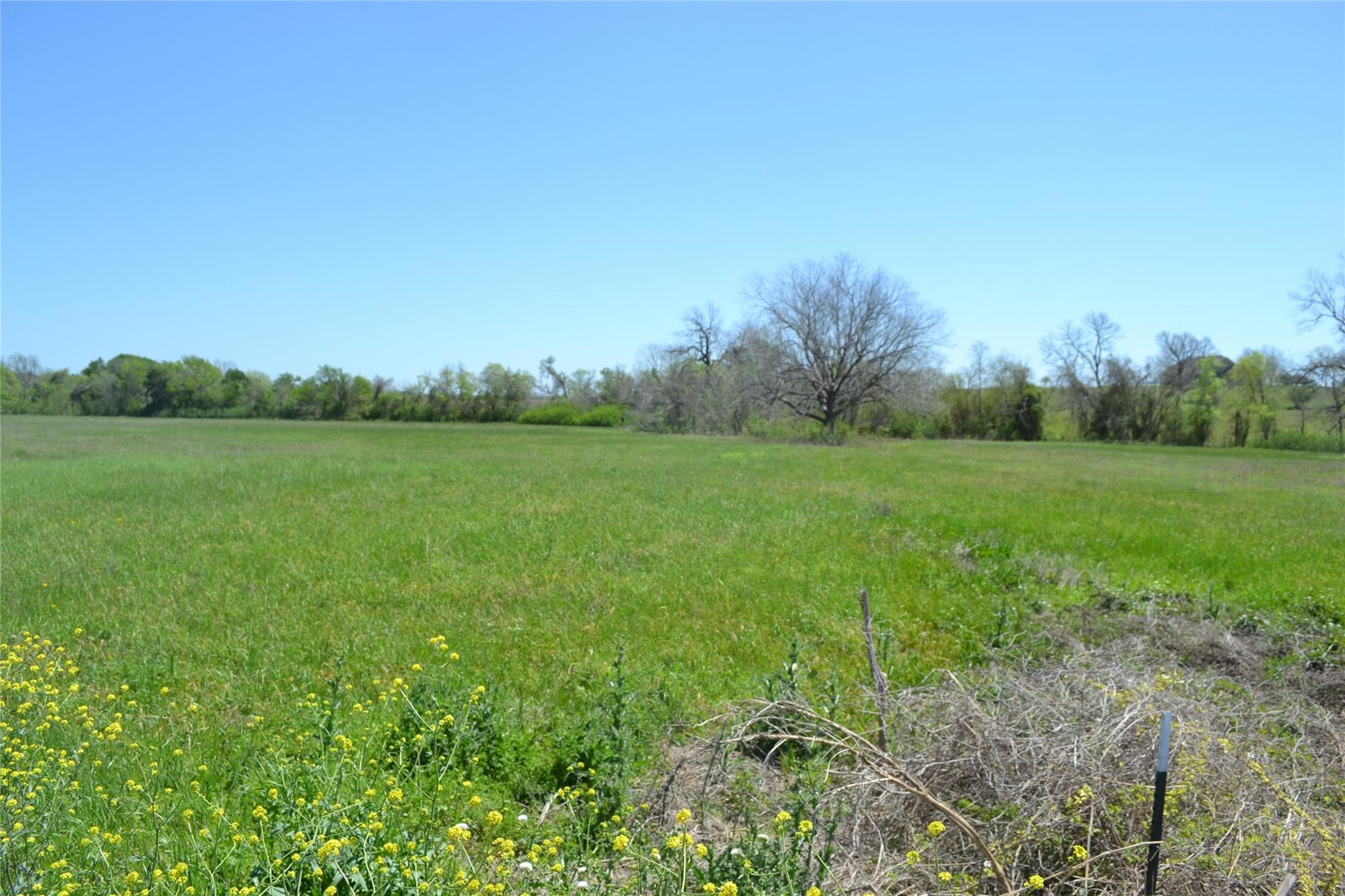 5568 Bleiblerville Road Bleiblerville, TX 78931 - Photo 8 of 12