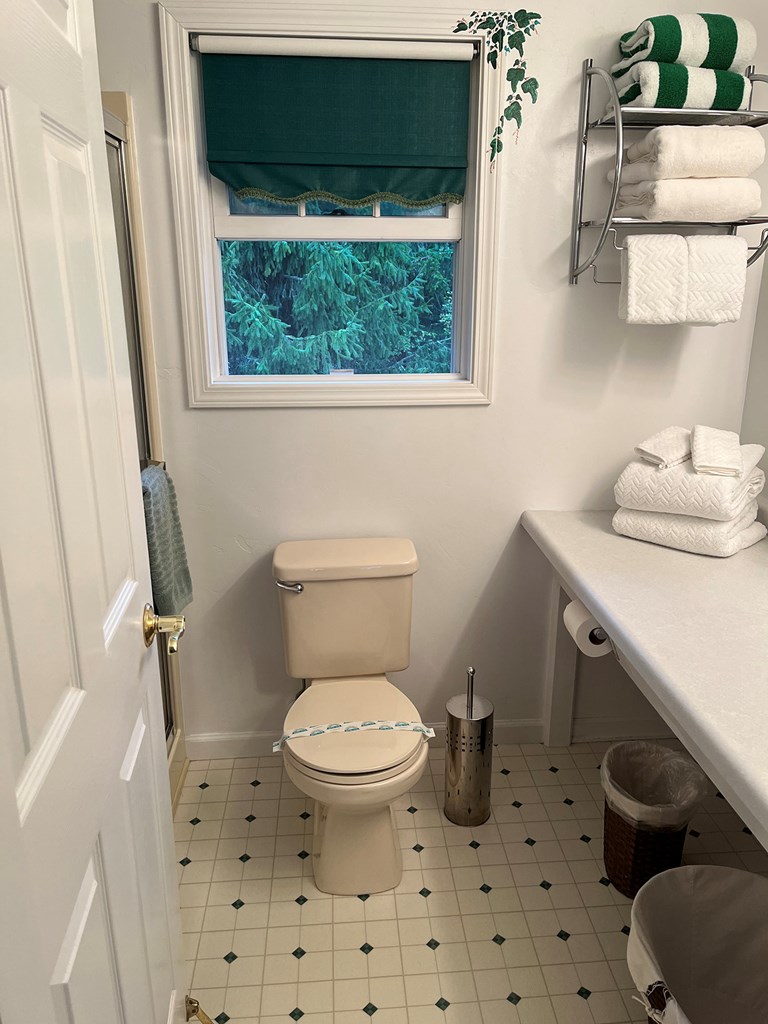 359 Wickman Road Washington Island, WI 54246 - Photo 31 of 43
