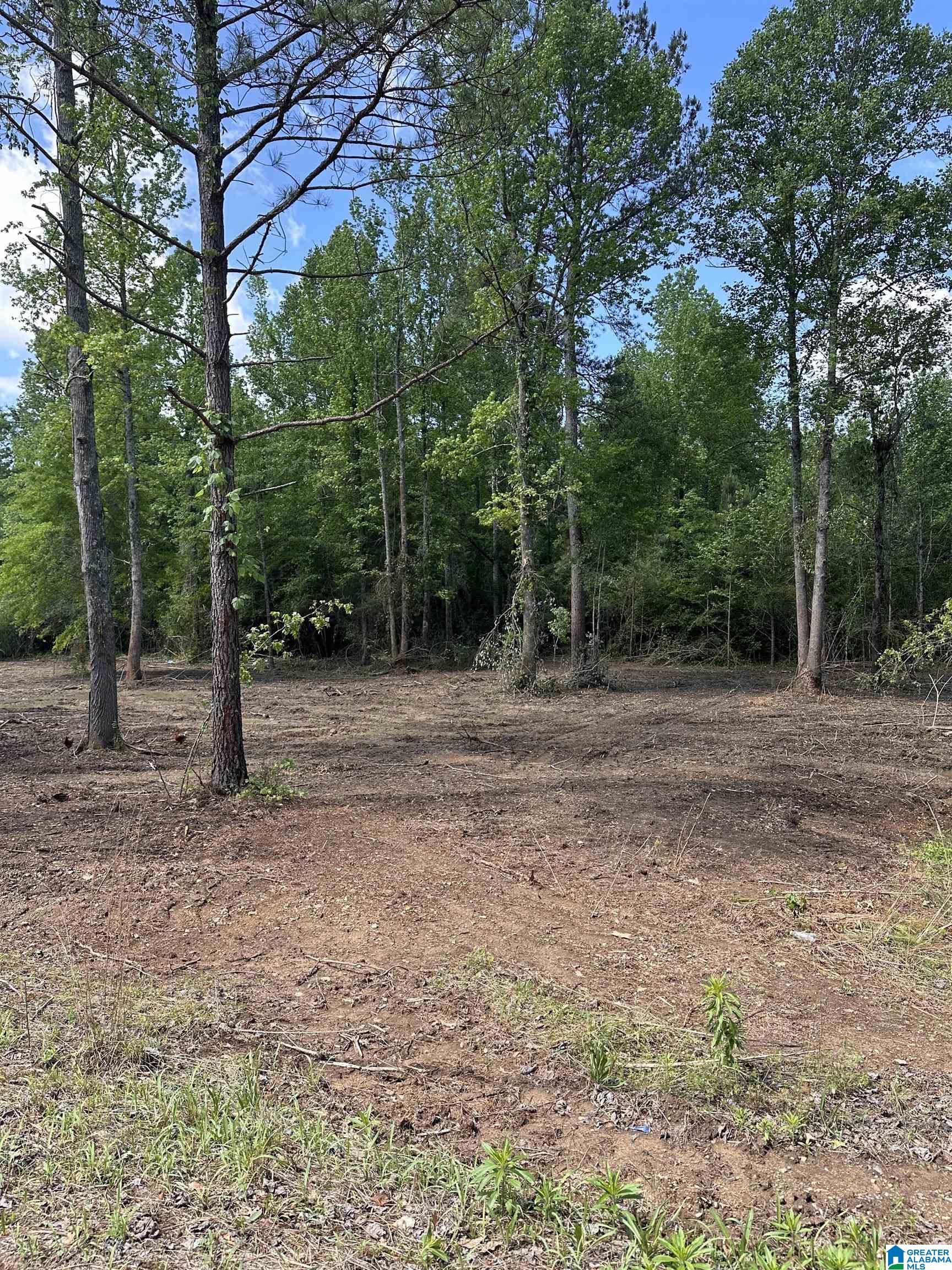 1845 Reads Mill Road Wellington, AL 36279 - Photo 2 of 2