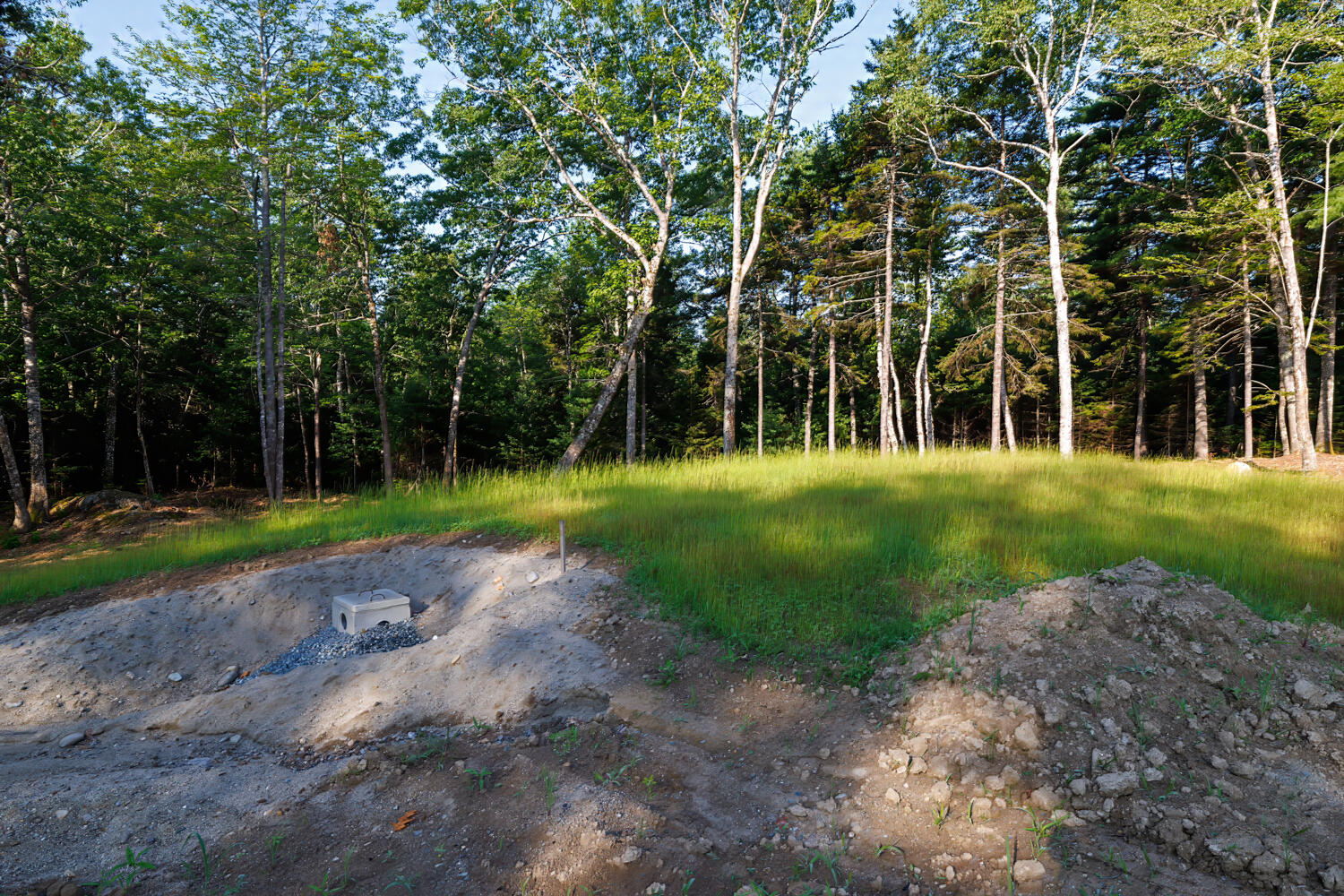 10 Patty Road Bar Harbor, ME 04609 - Photo 10 of 23 3-000 Patty Lot Road,-DTP