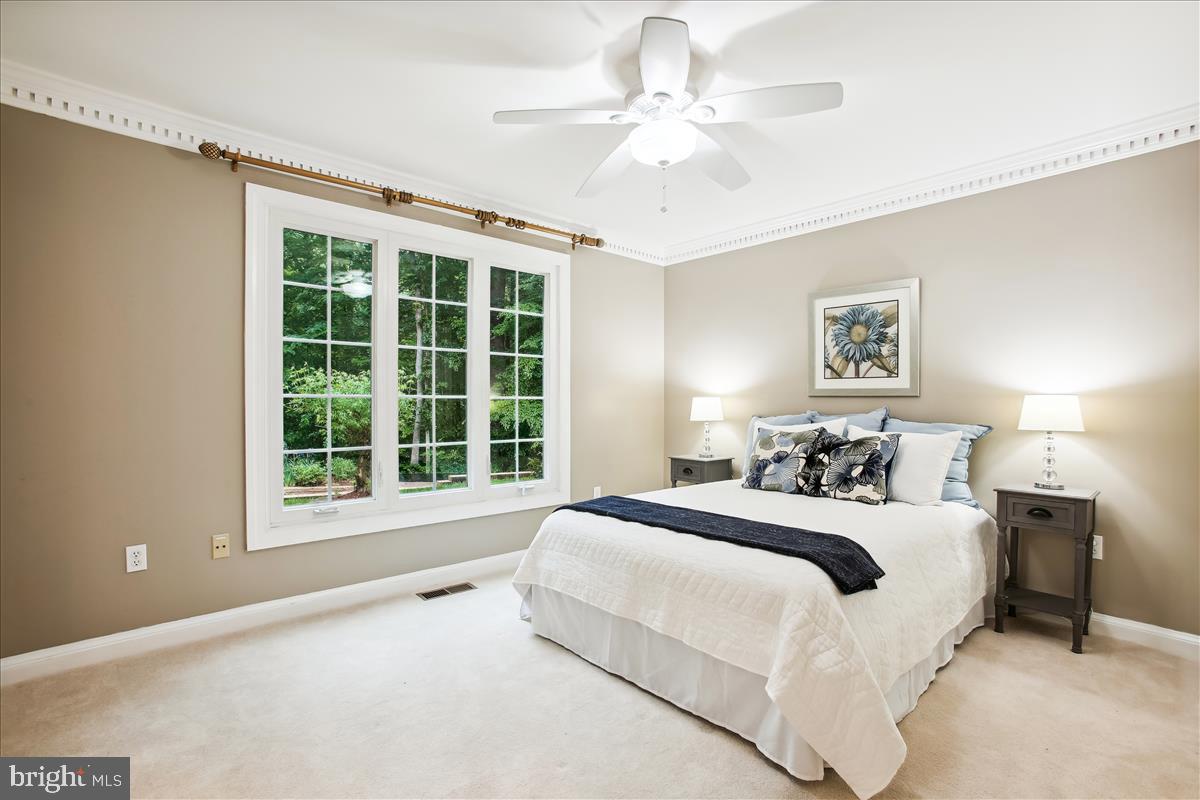 12221 Chapel Road Clifton, VA 20124 - Photo 28 of 93 Main Level Bedroom with a View!
