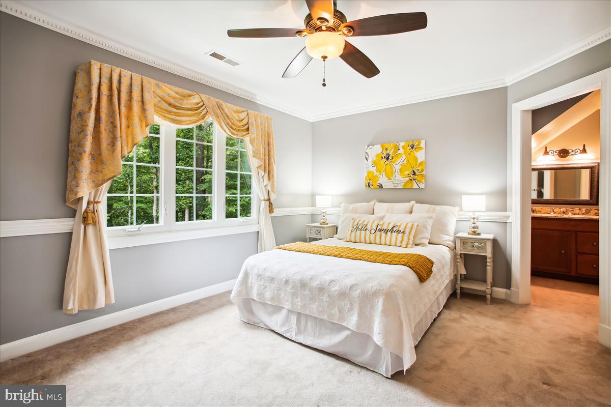 12221 Chapel Road Clifton, VA 20124 - Photo 46 of 93 3rd Upper Level Bedroom with a View.
