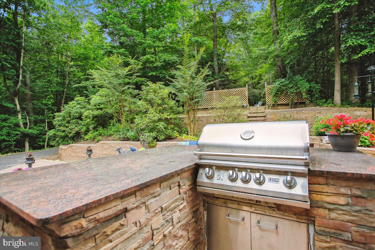 12221 Chapel Road Clifton, VA 20124 - Photo 75 of 93 High End Stainless Grill.