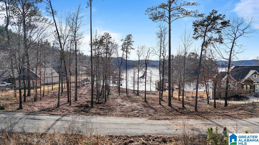 2147 Eagle Mountain Road, Unit 12 Rockford, AL 35136 - Photo 4 of 22