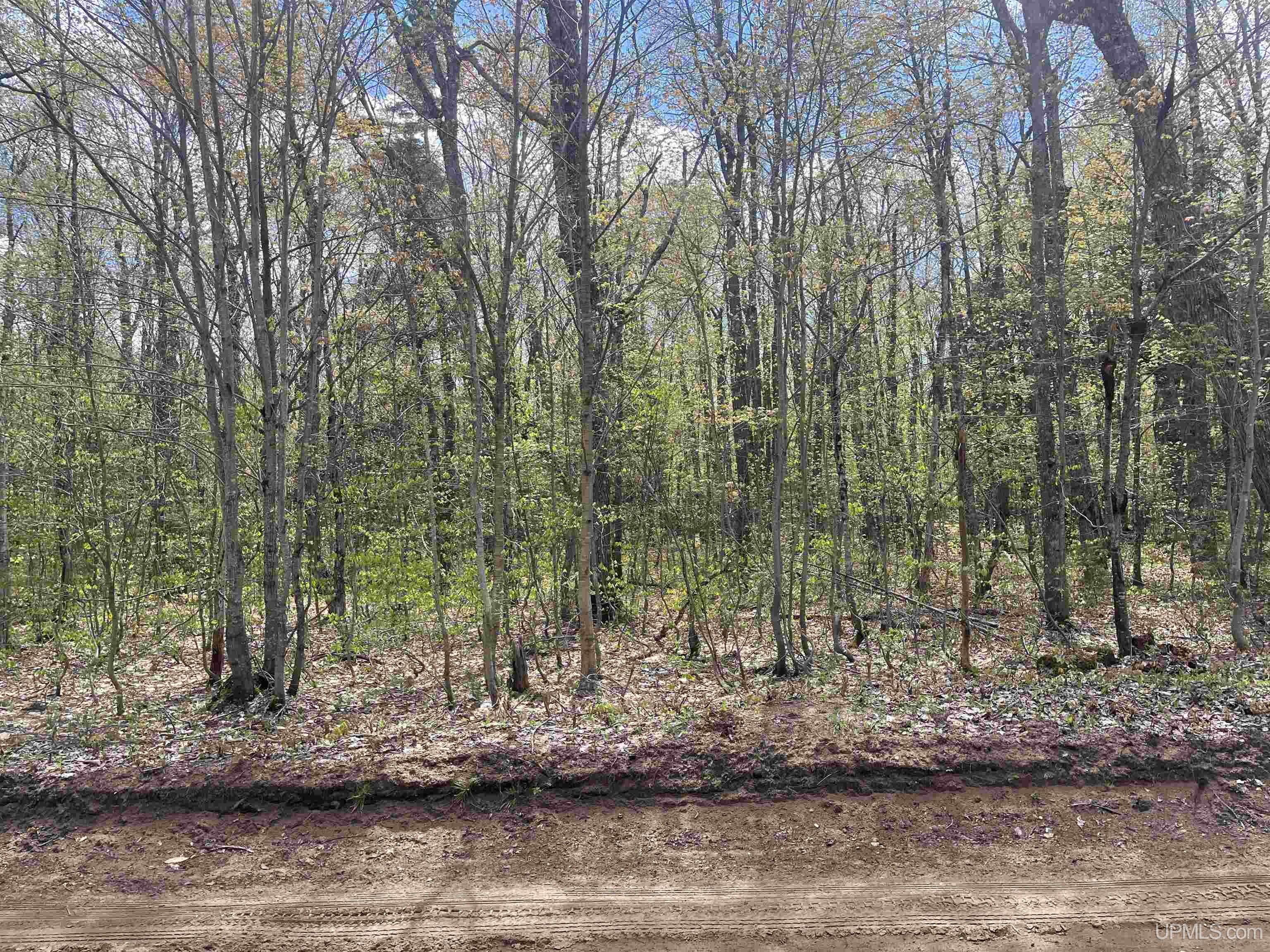 450 Rd Seney Mi 49883 Road Seney, MI 49883 - Photo 8 of 33