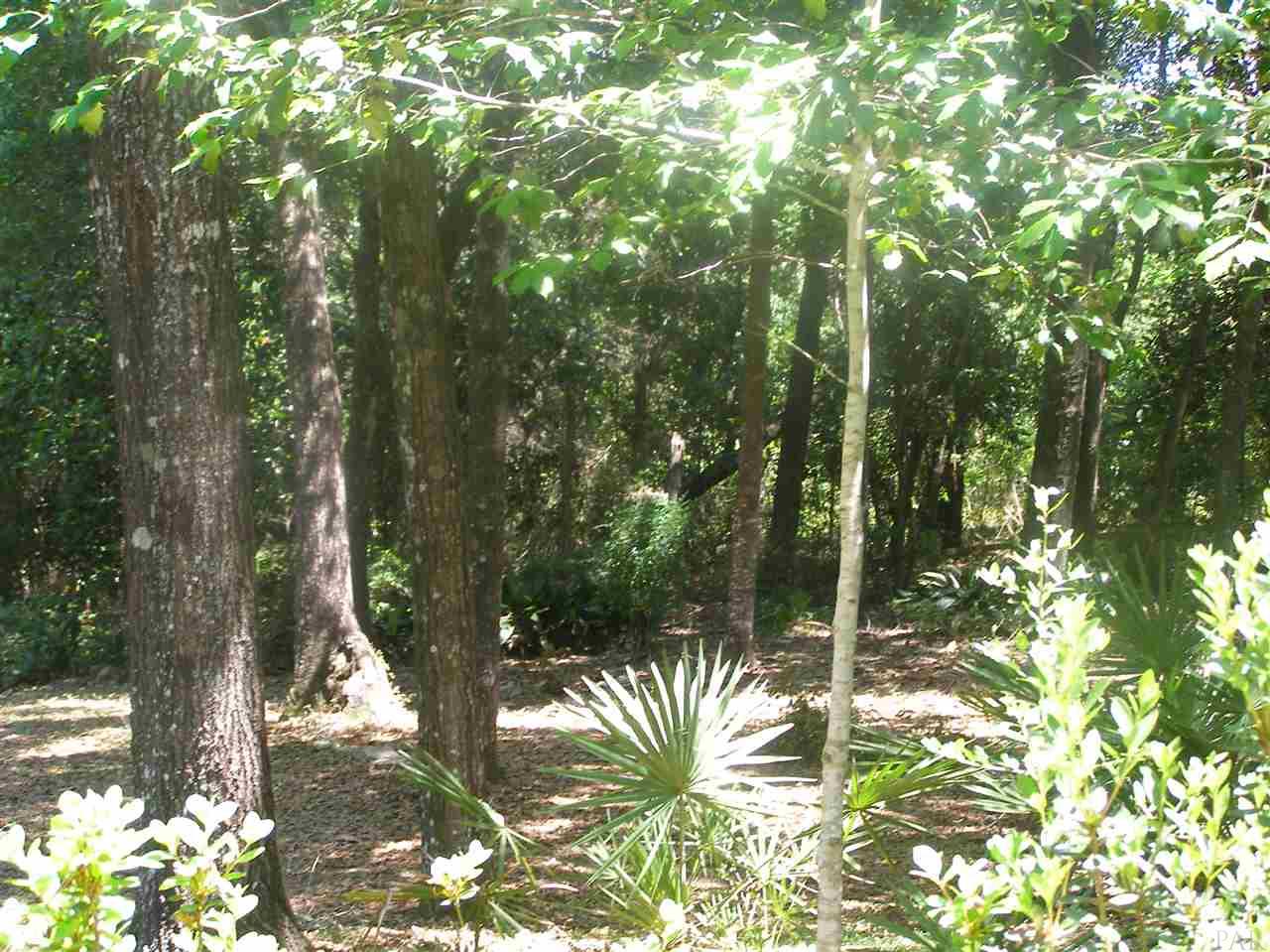 4924 Shell Road Milton, FL 32583 - Photo 4 of 46