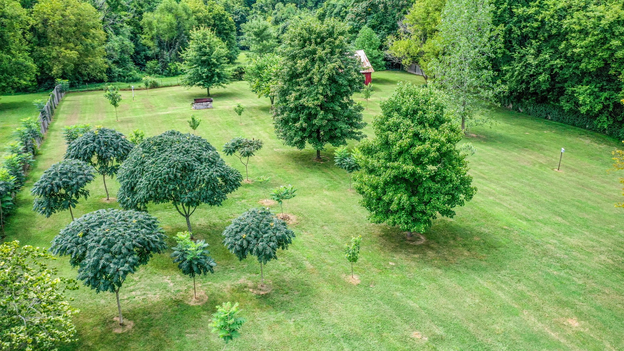 248 Franklin Limestone Road Nashville, TN 37217 - Photo 4 of 57 Gallery Image 4