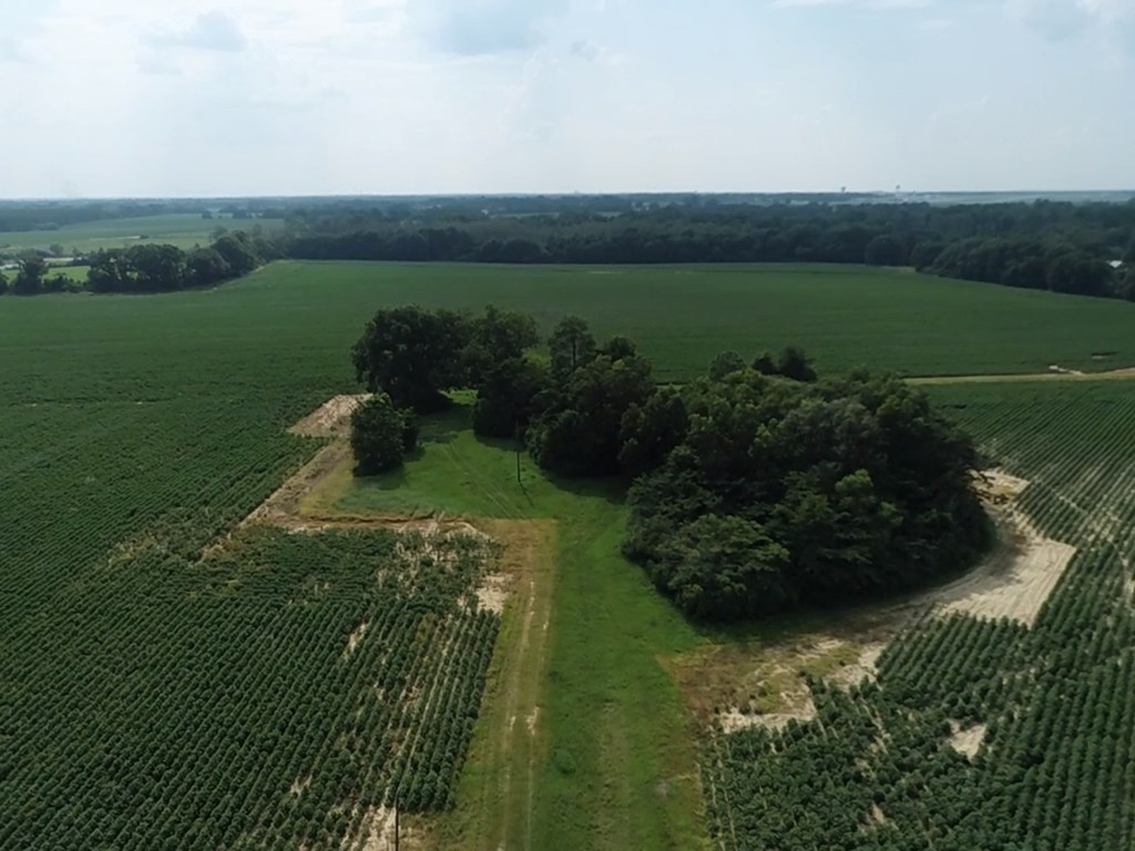 132.3-ac Green Road Dothan, AL 36303 - Photo 38 of 63
