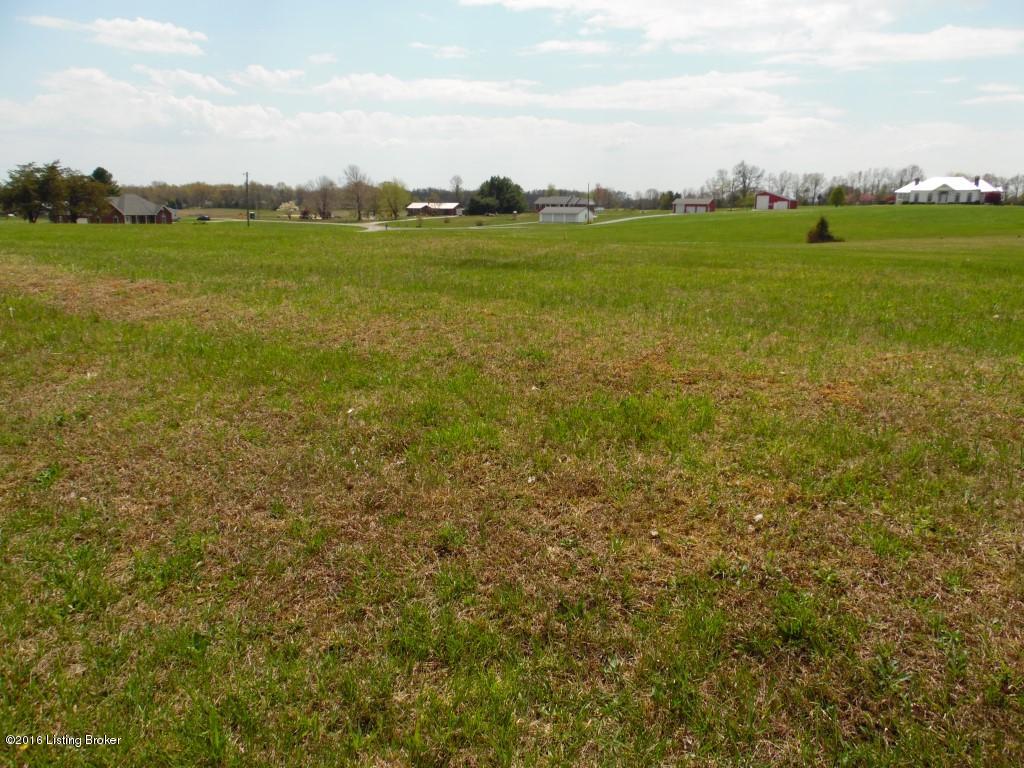 0 Middle Creek Road Elizabethtown, KY 42701 - Photo 33 of 33 SAM_2826 (Medium)