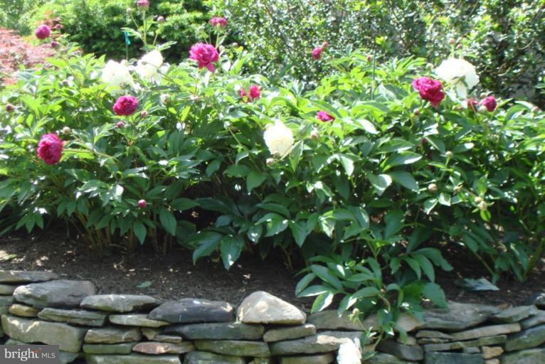 509 Brindley Place Southwest Leesburg, VA 20175 - Photo 6 of 30 Nicely landscaped w/ beautiful perennial gardens